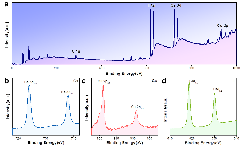 1657677212938855.png 1657677212938855.png