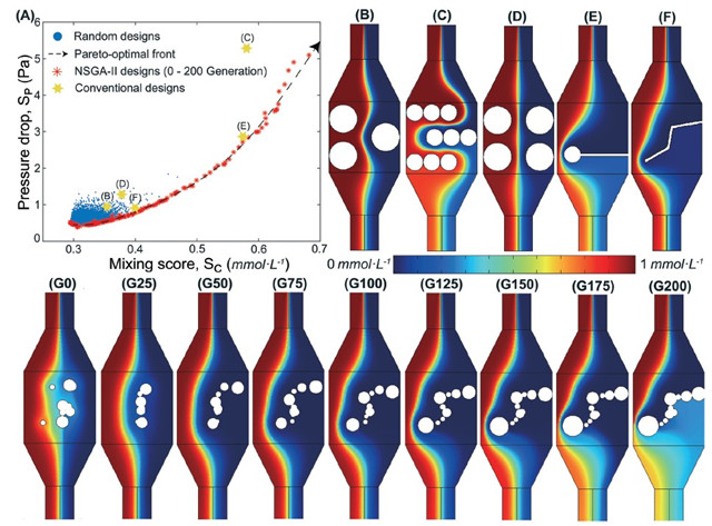 1574663115420672.jpg 2_副本.jpg