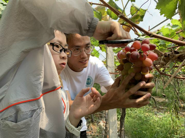 1565931055877109.jpg 1565007220574_5d481d74159bb8475065d993_meitu_1.jpg