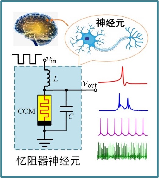 1636939223974022.jpg 1636939223974022.jpg